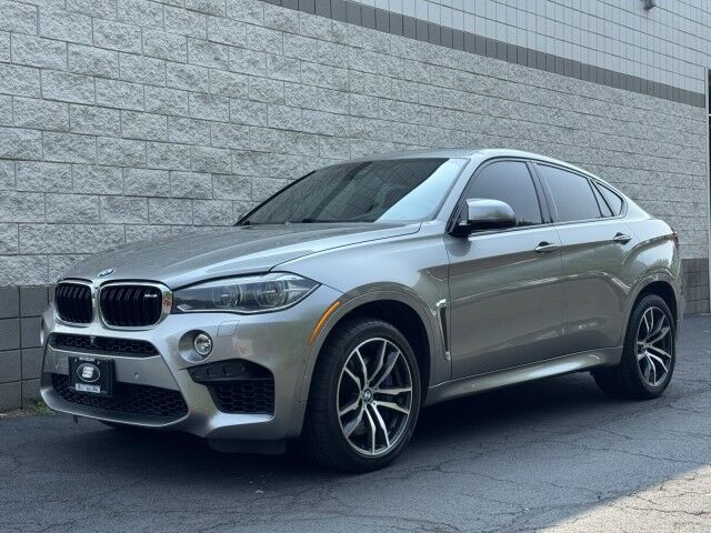 2017 BMW X6