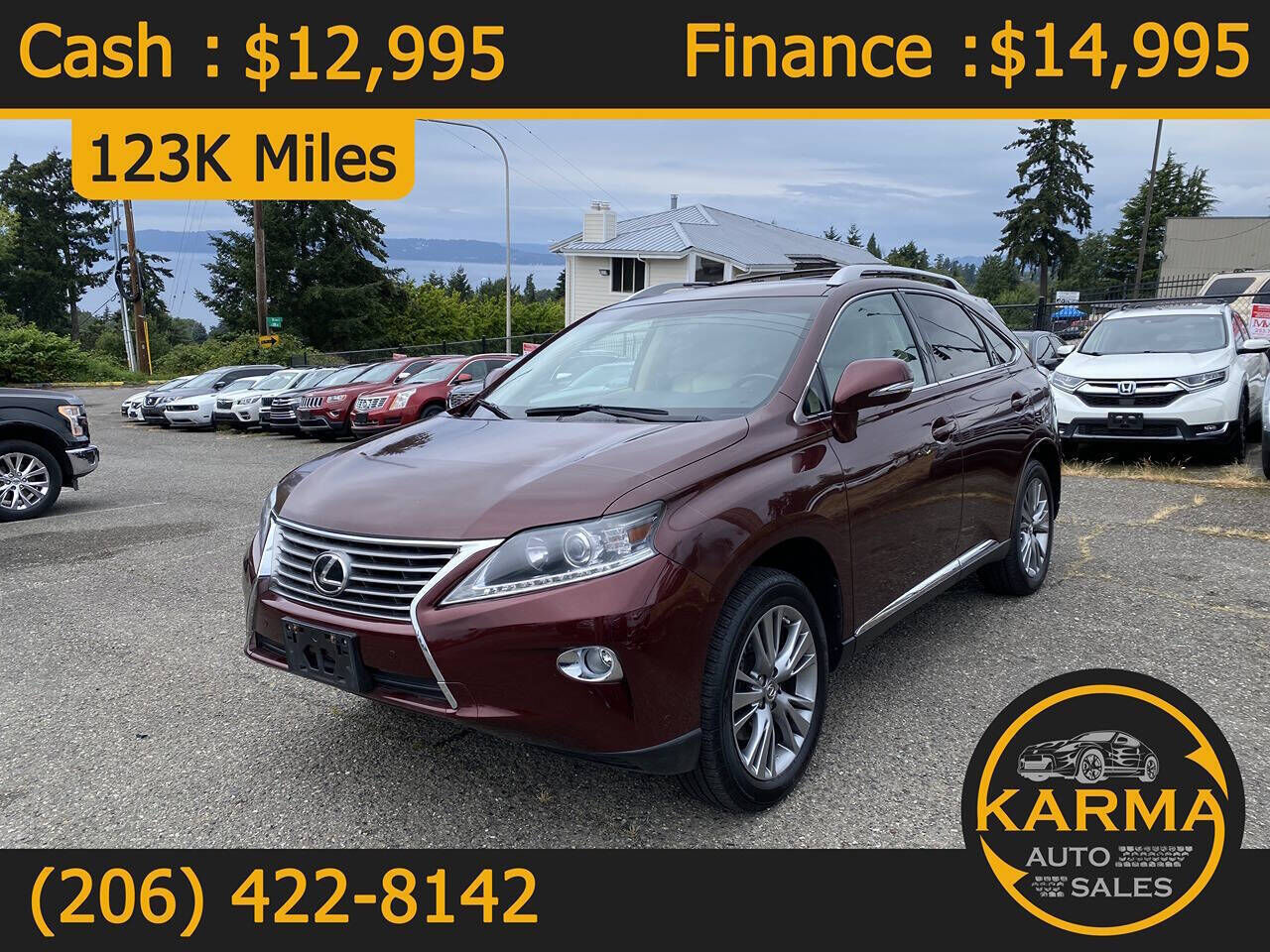 2013 LEXUS RX