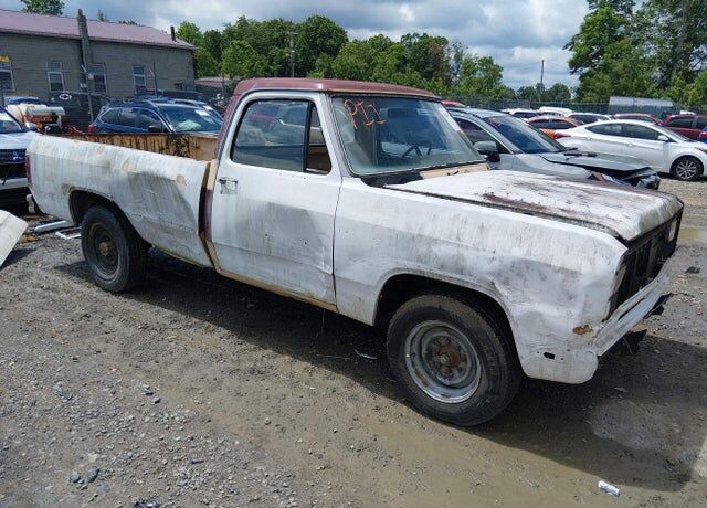 1982 DODGE D-Series