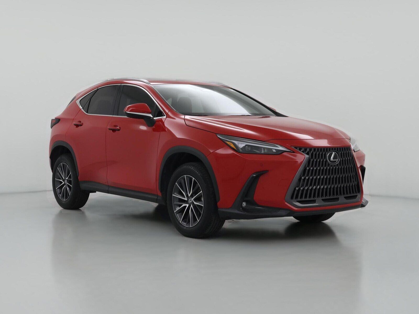 2024 LEXUS NX
