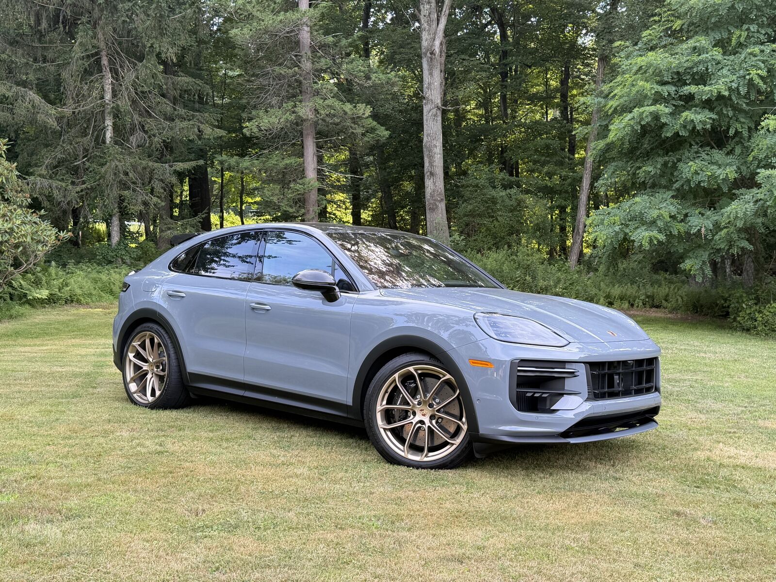 2025 PORSCHE Cayenne