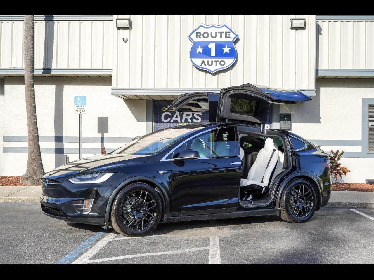 2017 TESLA Model X