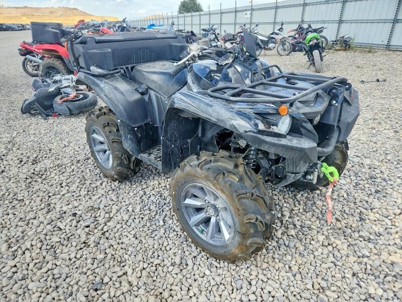 2025 YAMAHA Grizzly