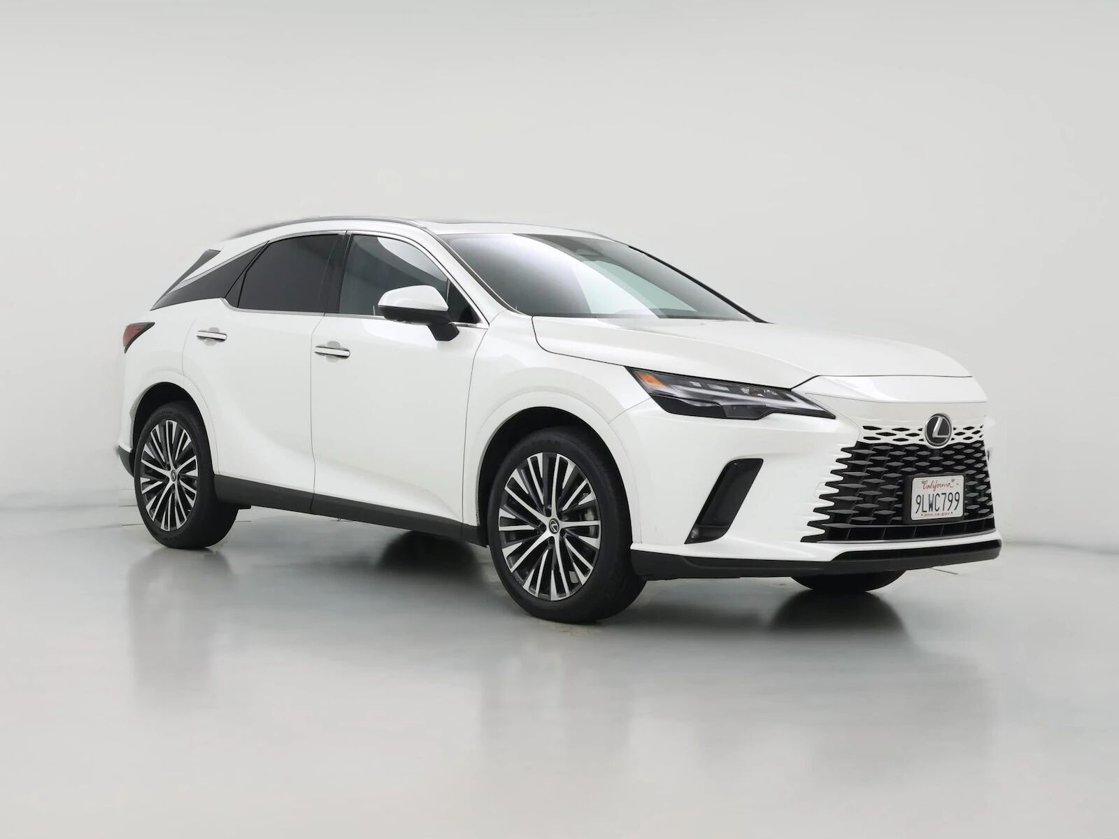 2024 LEXUS RX