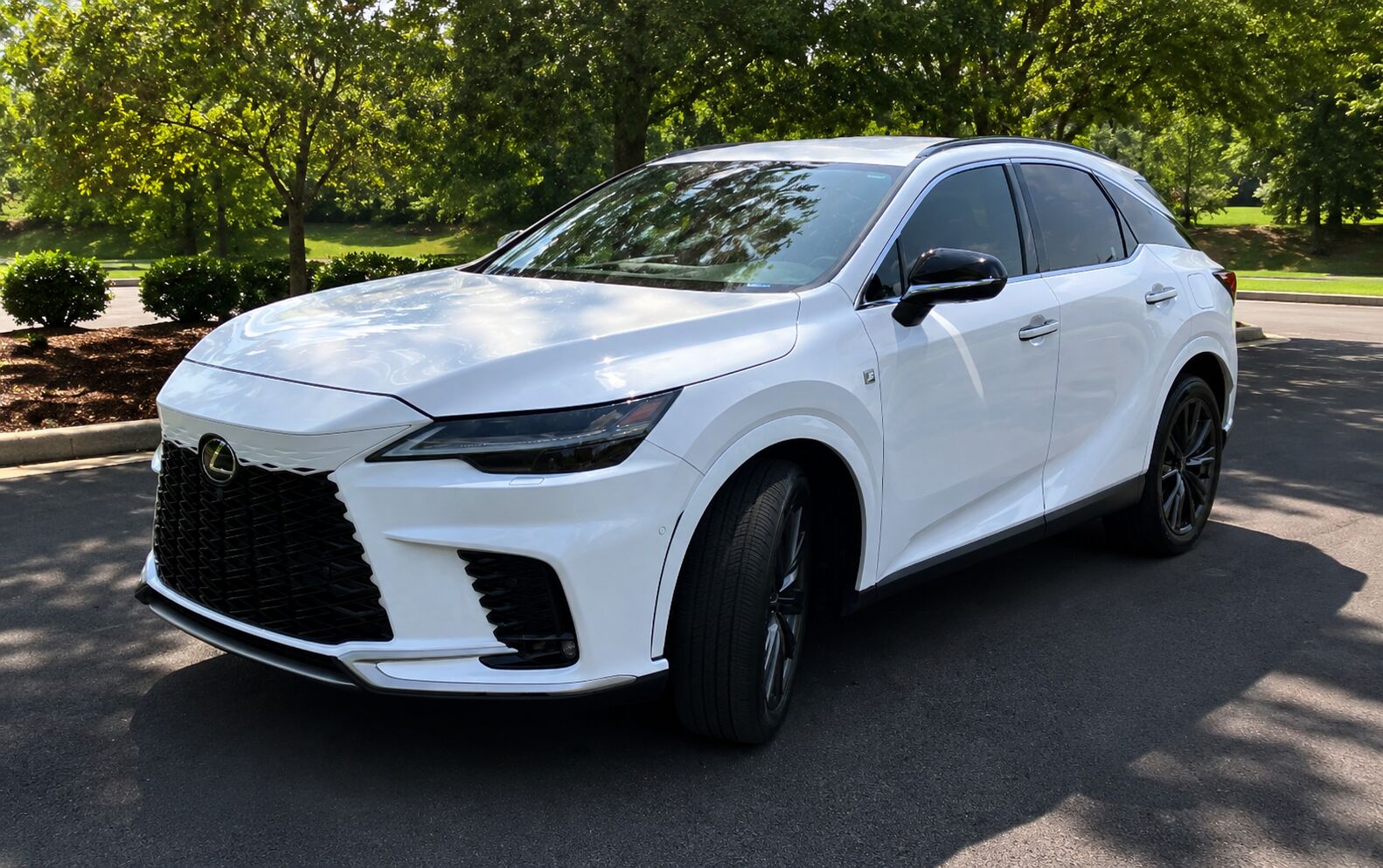 2024 LEXUS RX