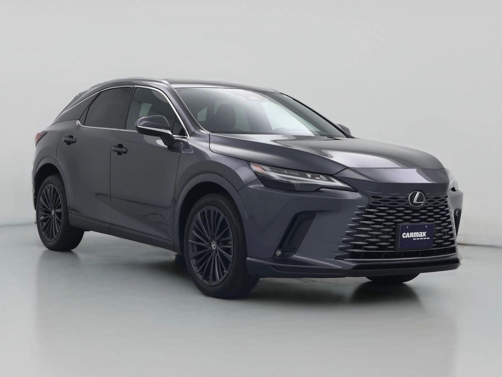 2025 LEXUS RX