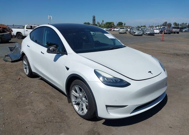 2020 TESLA Model Y