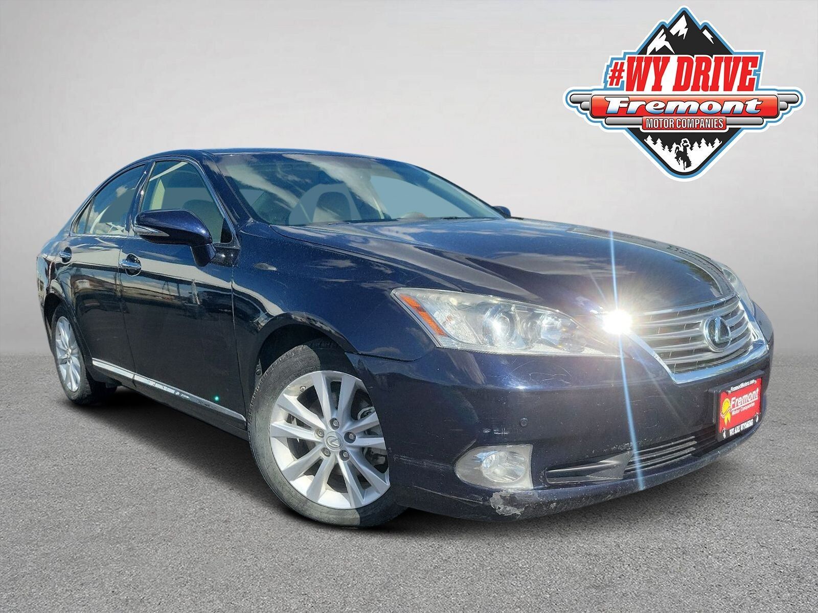 2010 LEXUS ES
