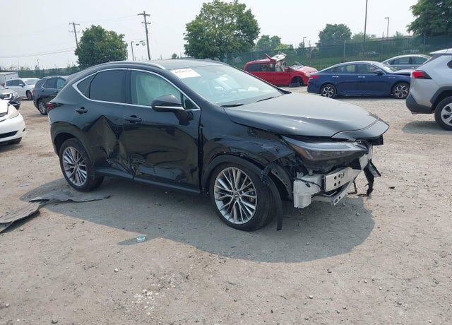 2025 LEXUS NX