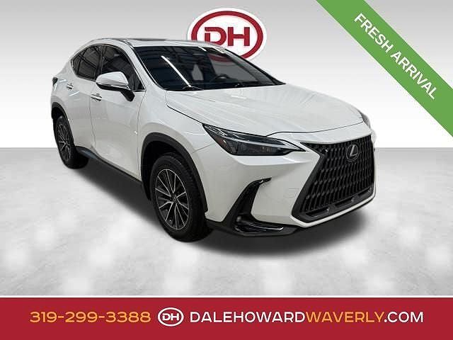 2024 LEXUS NX