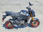 2022 KAWASAKI Z125 PRO
