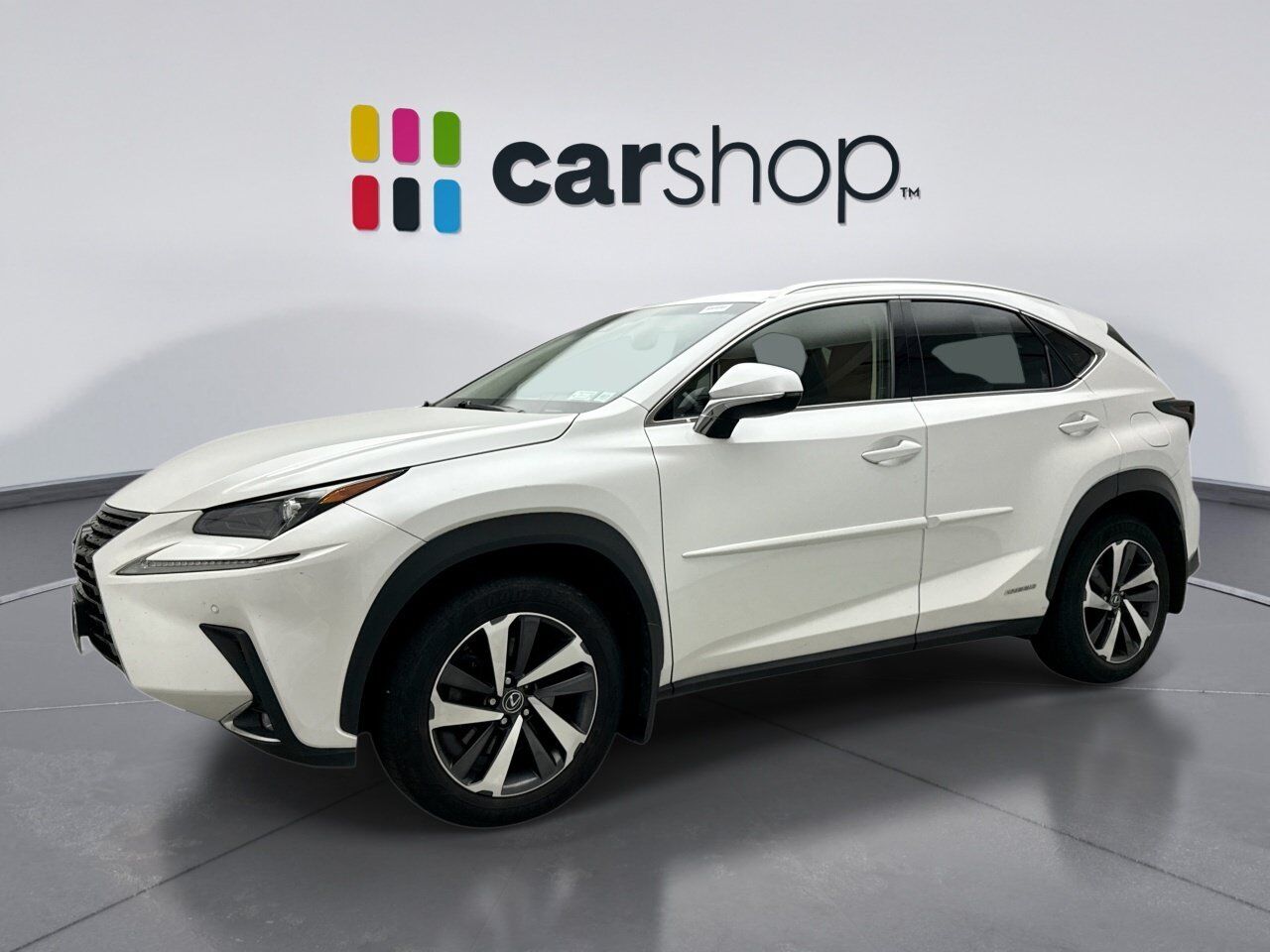2019 LEXUS NX