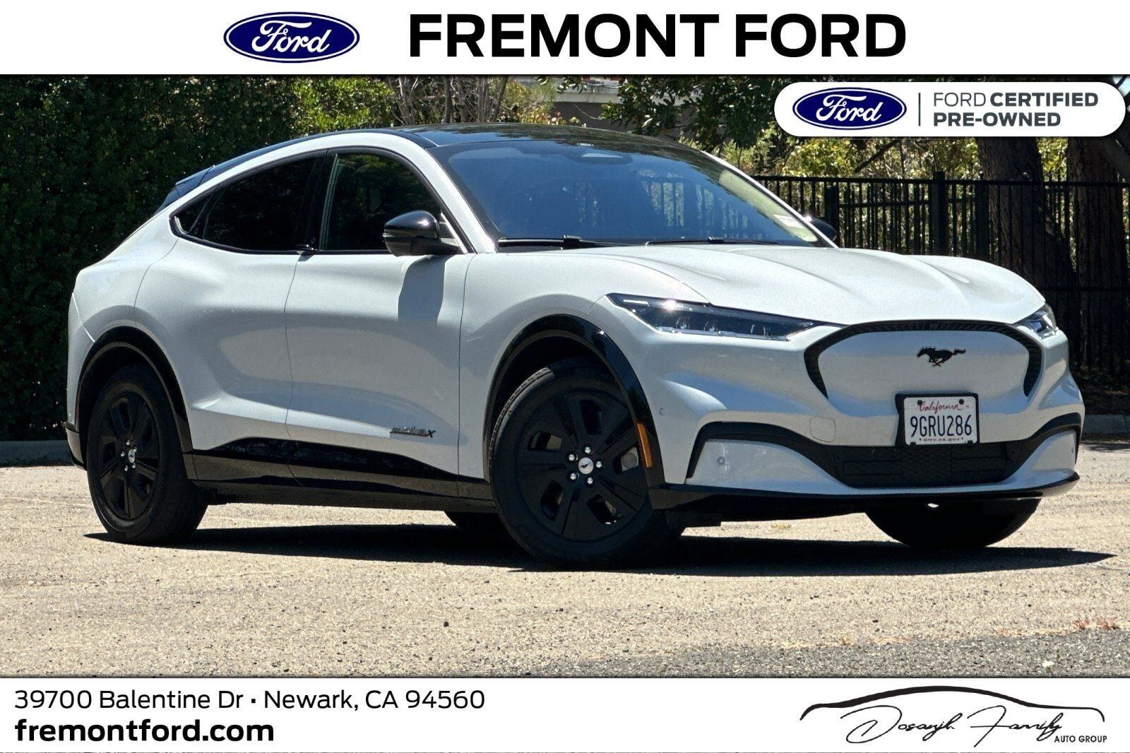 2023 FORD Mustang