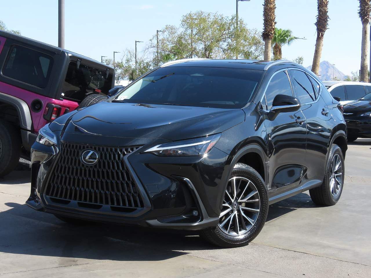 2024 LEXUS NX