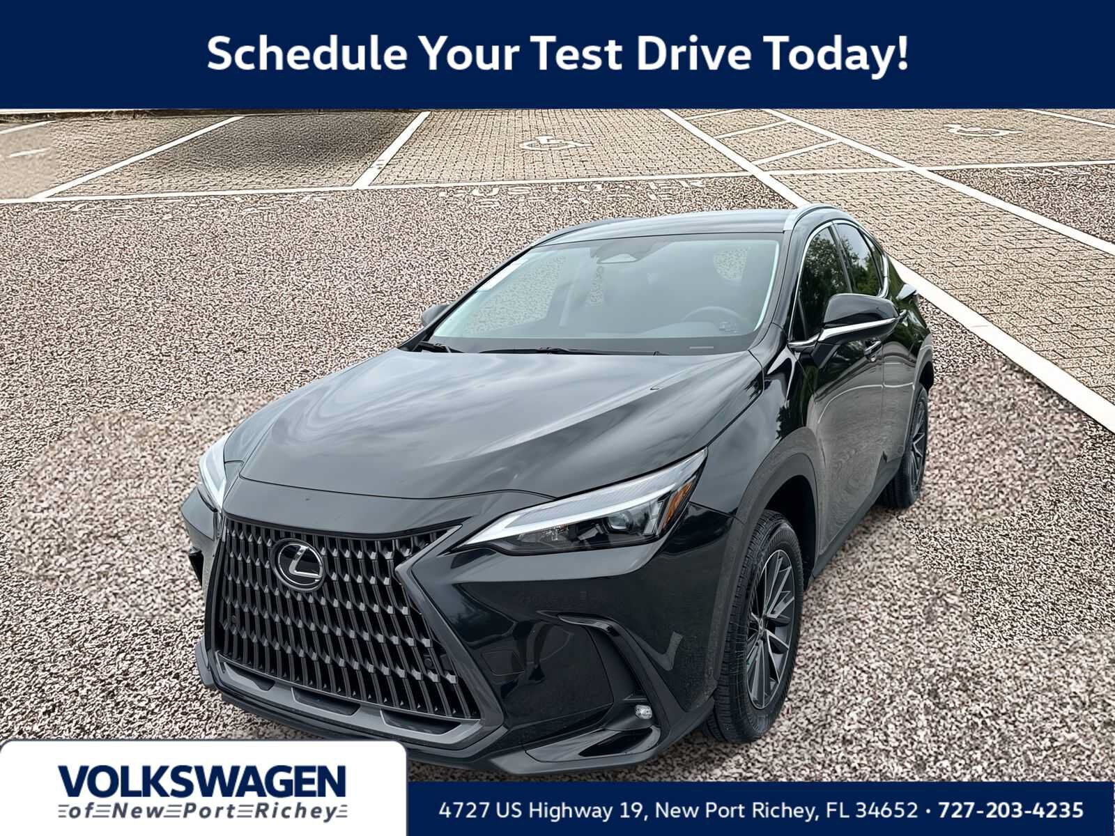 2025 LEXUS NX