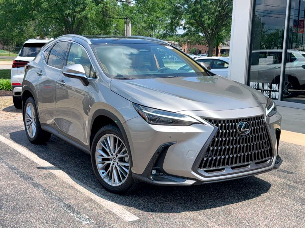 2024 LEXUS NX
