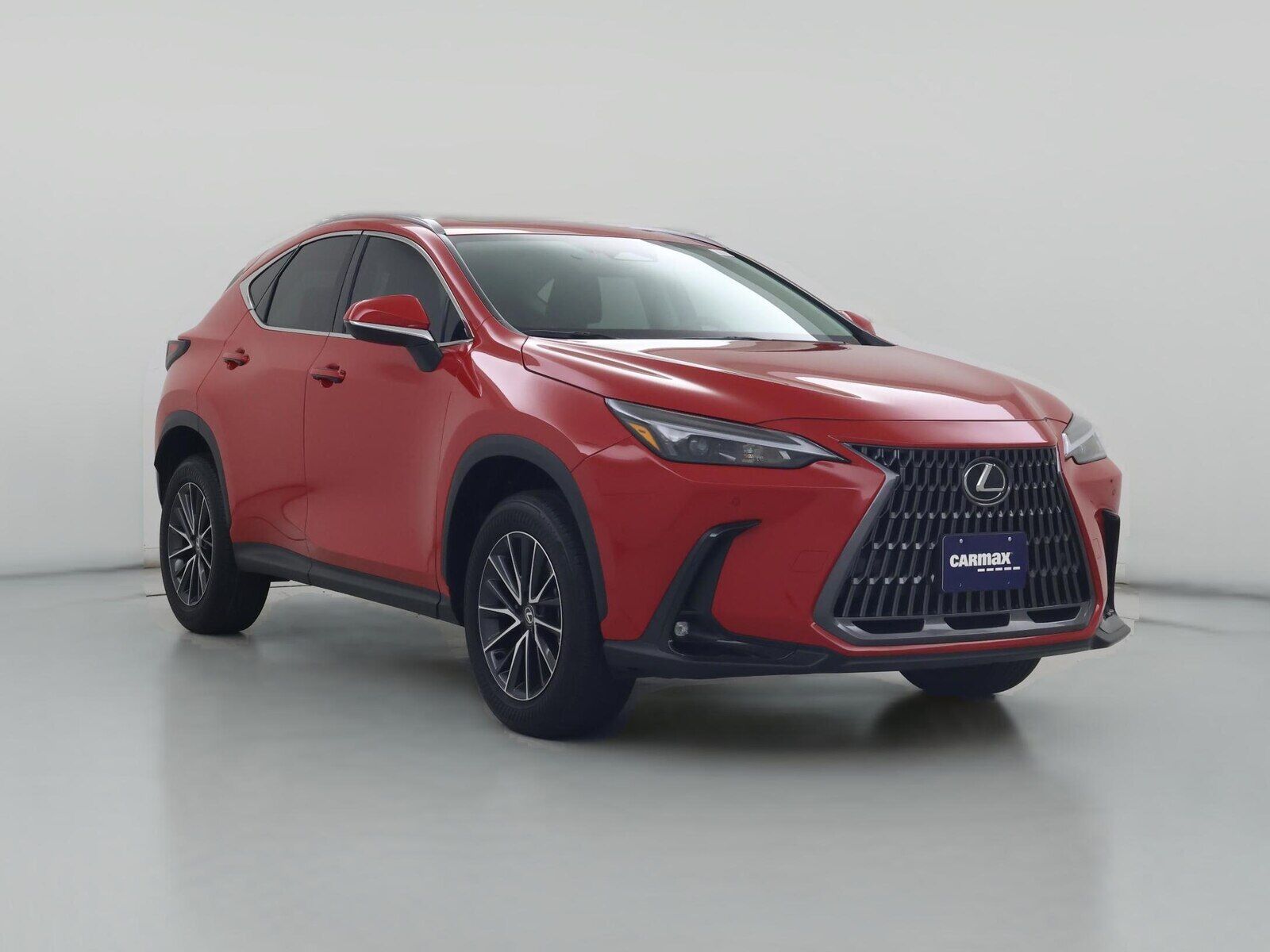 2024 LEXUS NX