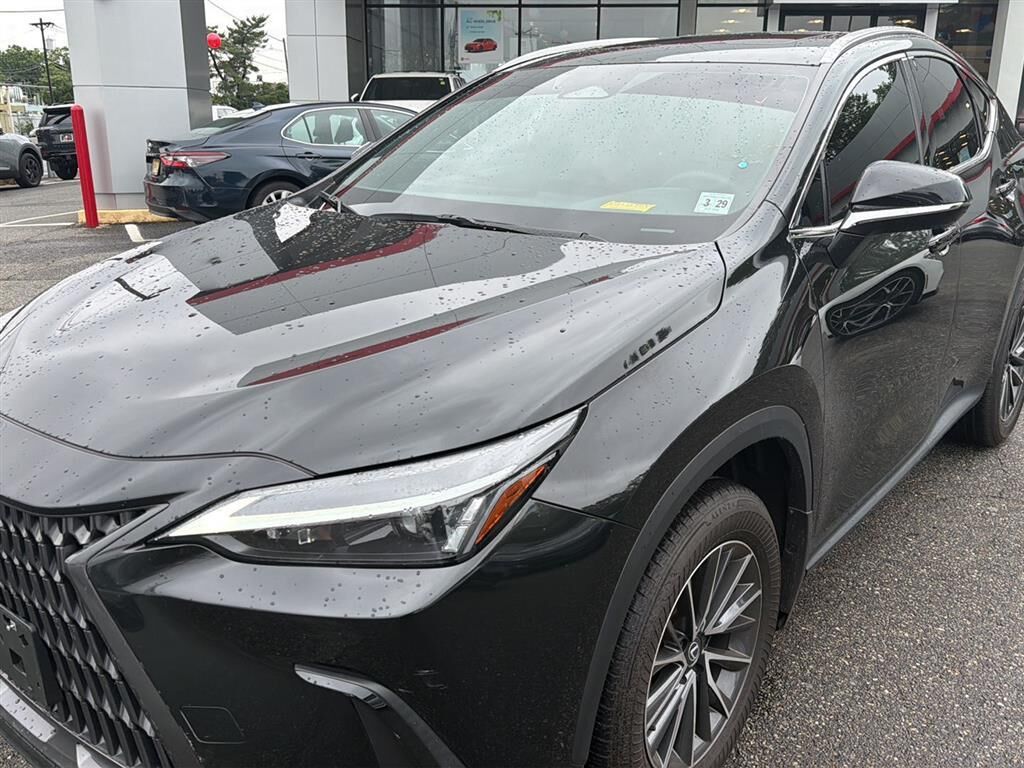 2024 LEXUS NX