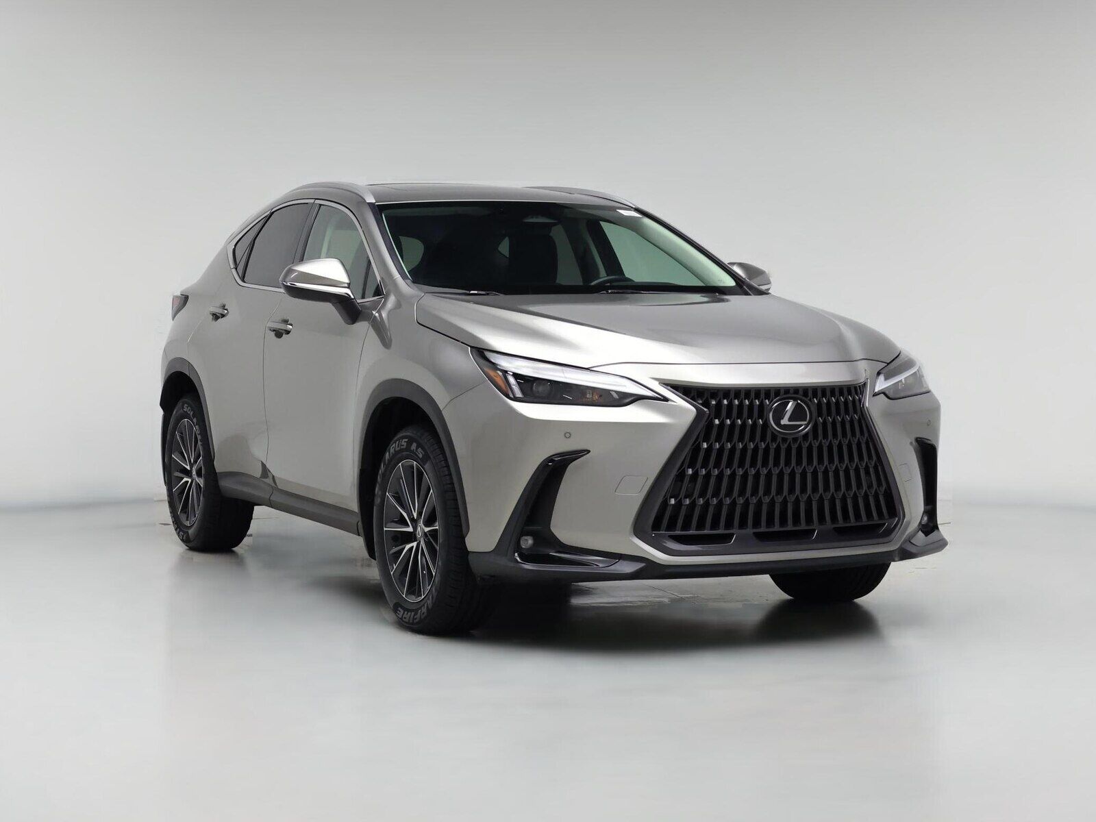 2024 LEXUS NX