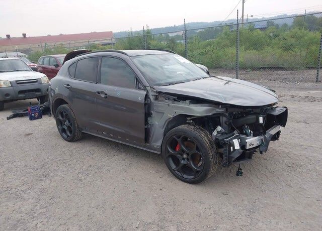 2024 ALFA ROMEO Stelvio