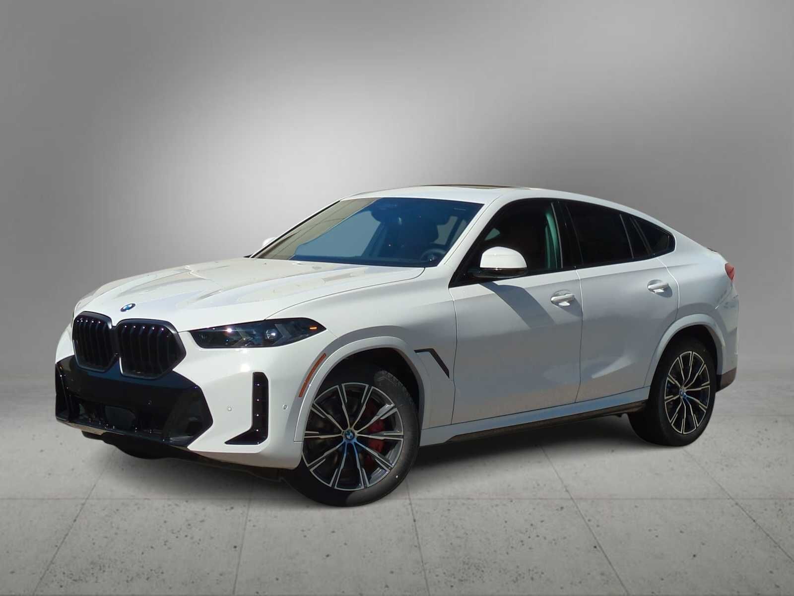 2026 BMW X6