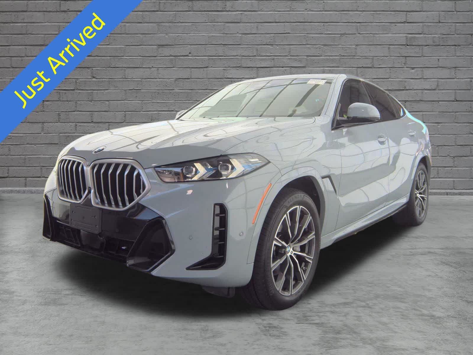2025 BMW X6
