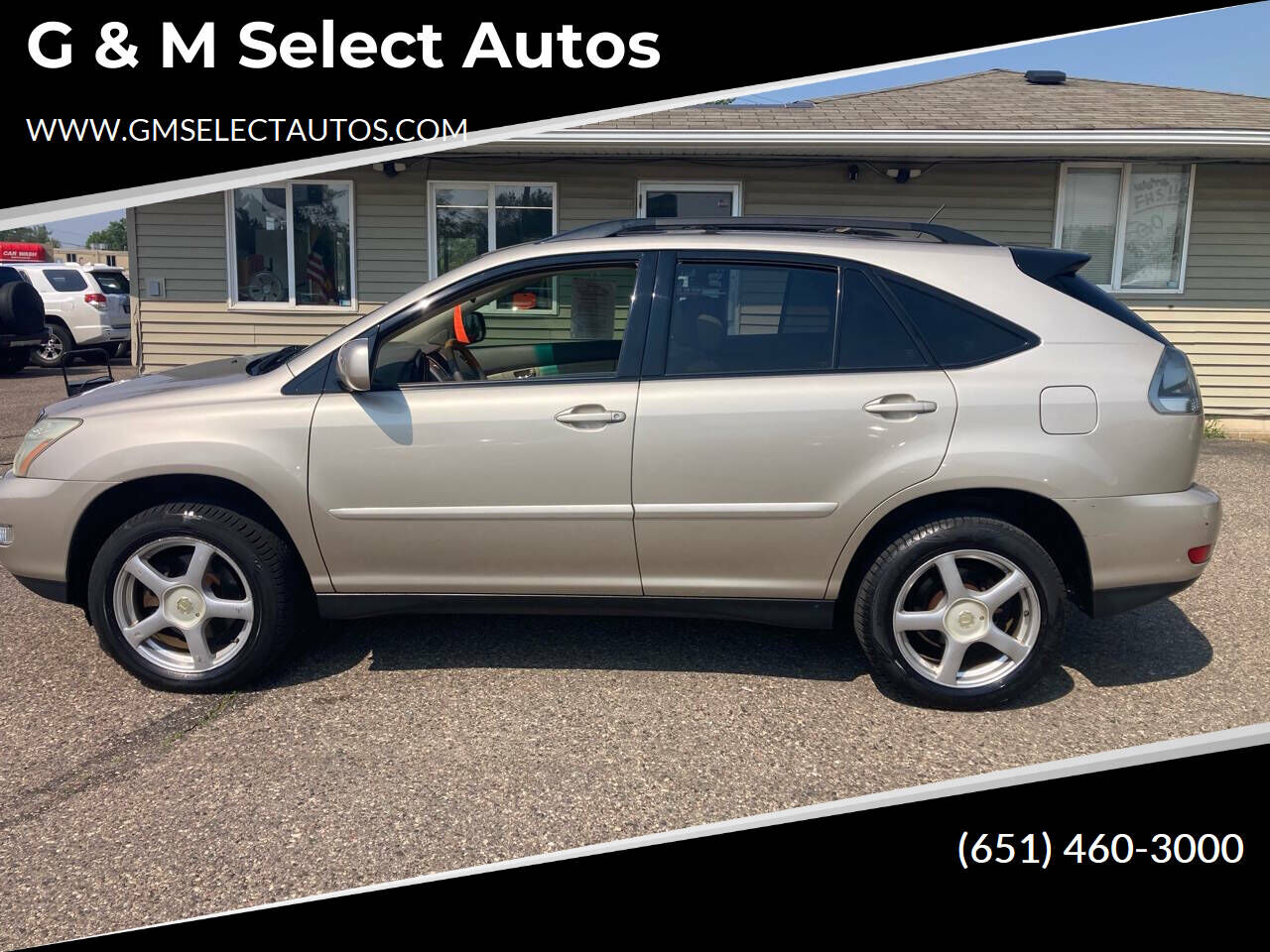 2004 LEXUS RX