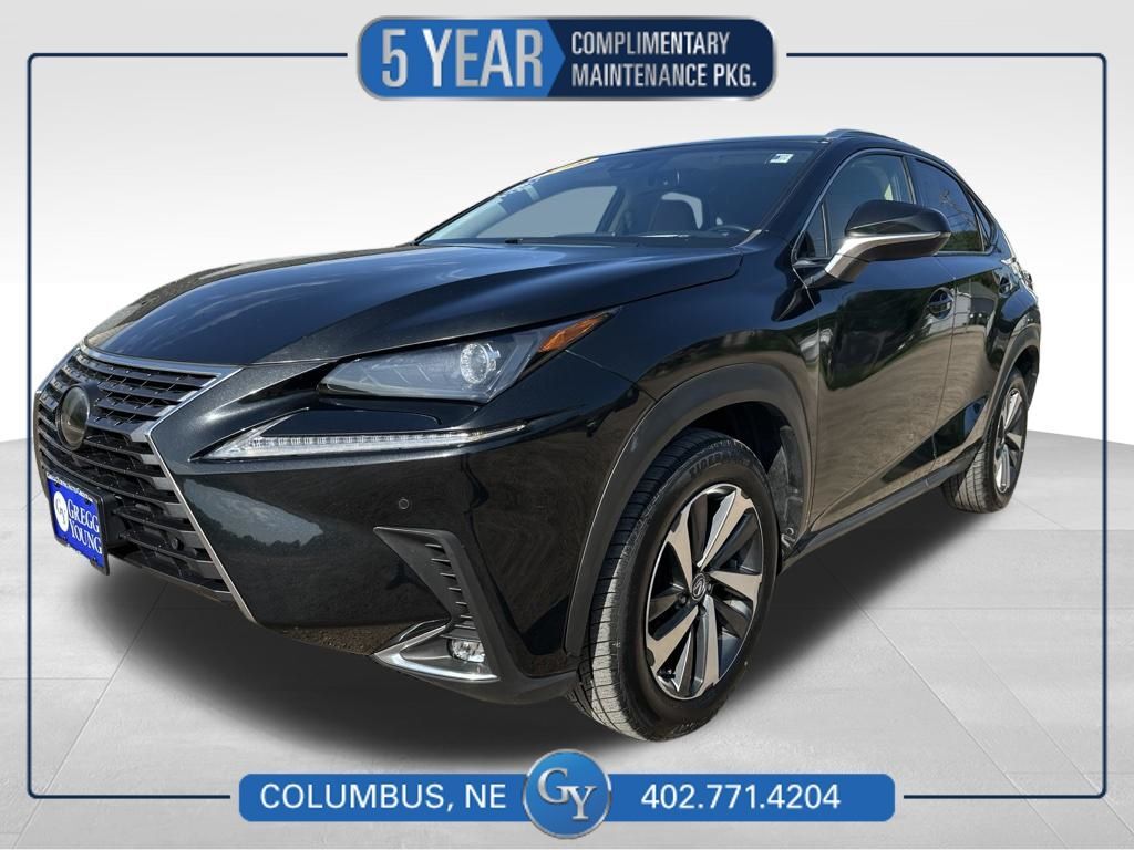 2019 LEXUS NX