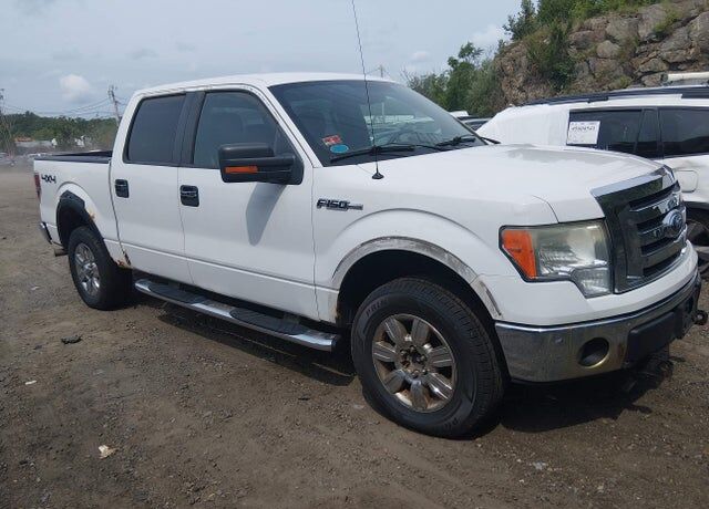 2009 FORD F-150