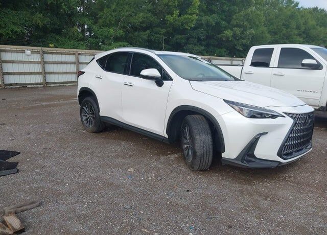2025 LEXUS NX