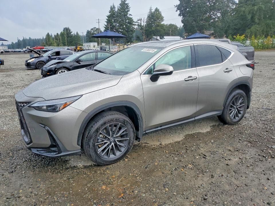 2024 LEXUS NX