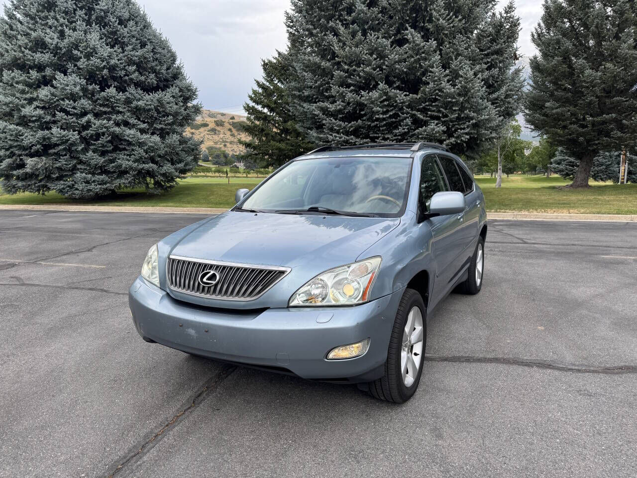 2007 LEXUS RX