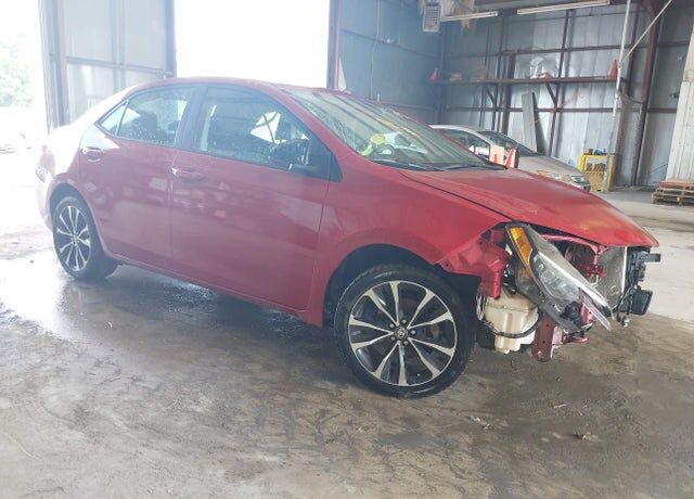 2019 TOYOTA Corolla