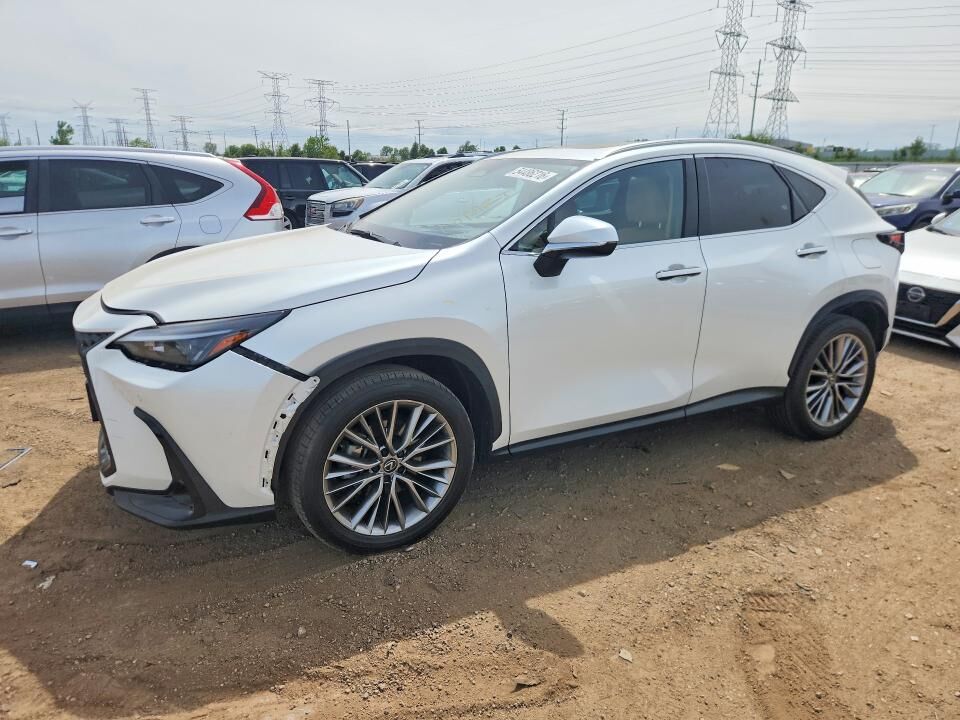 2025 LEXUS NX