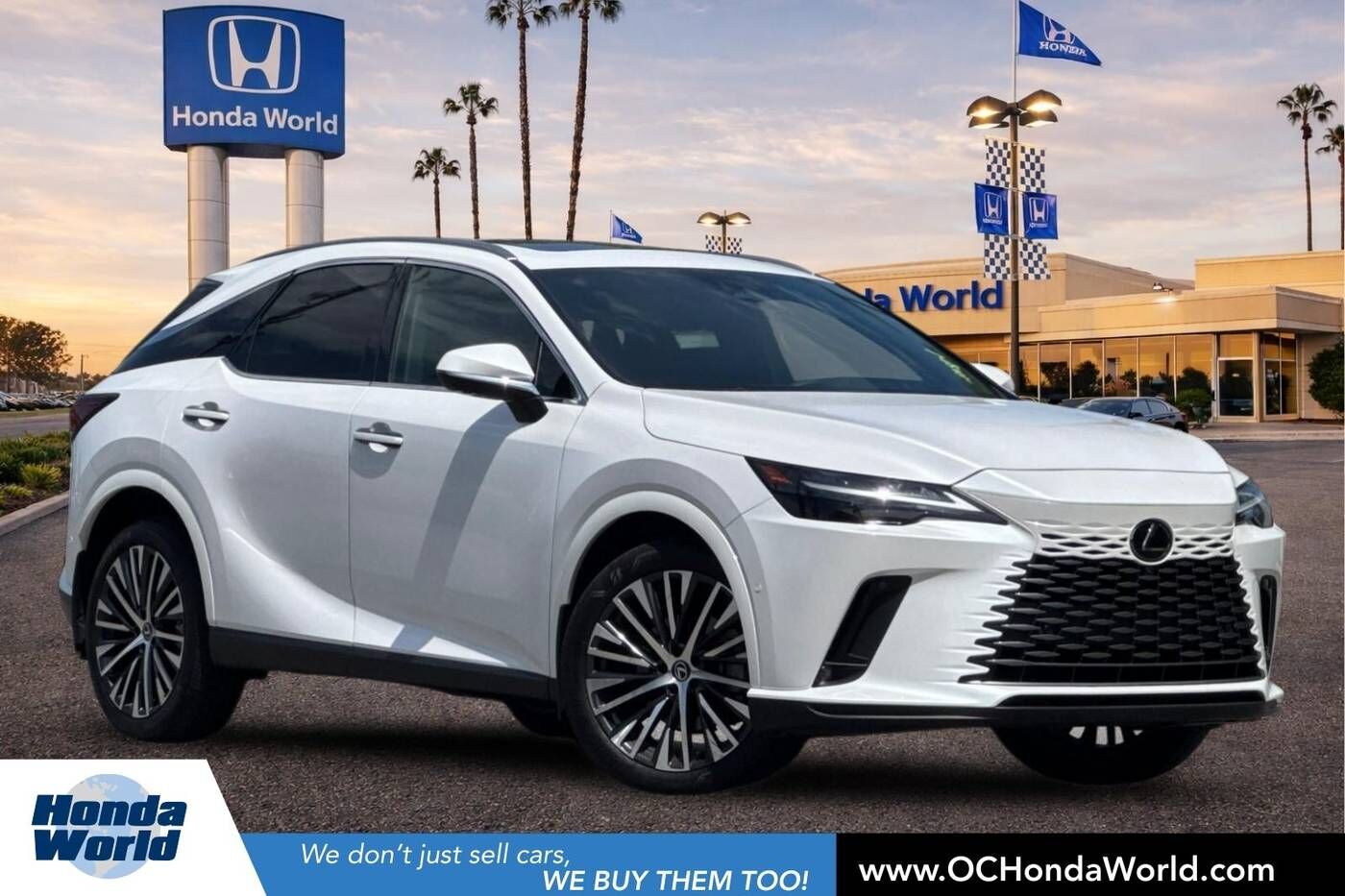 2024 LEXUS RX