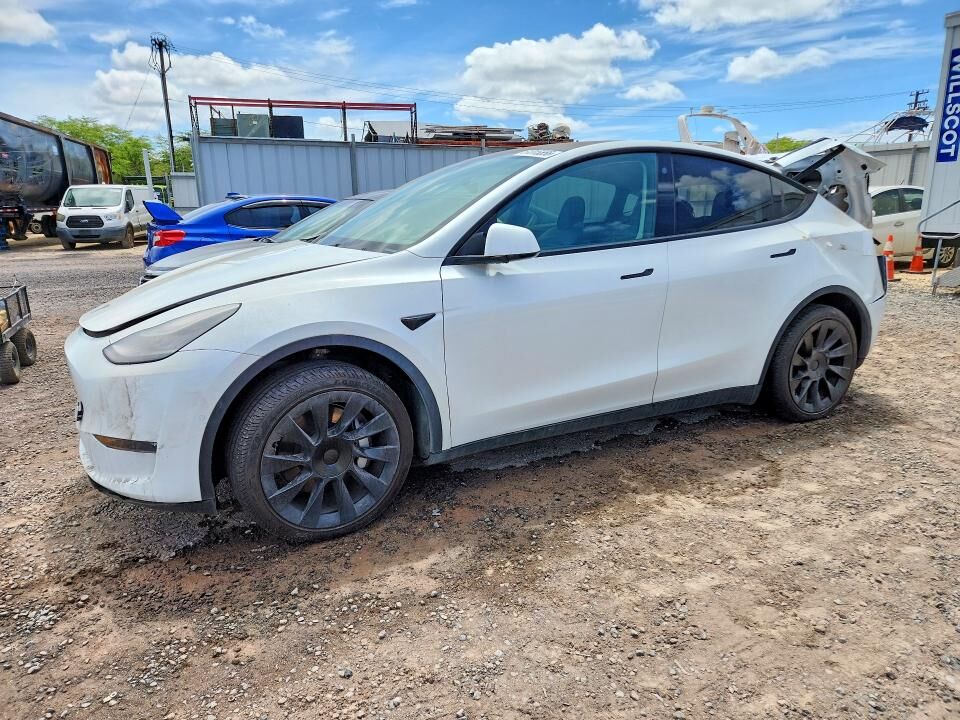 2021 TESLA Model Y