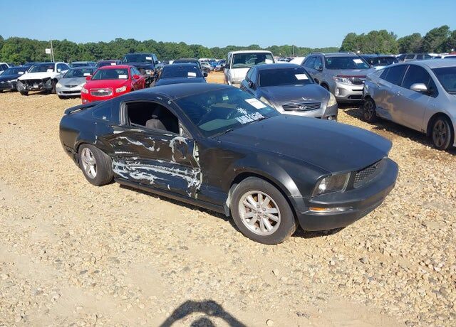 2005 FORD Mustang
