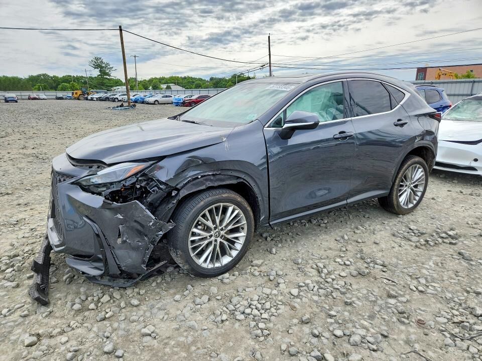 2025 LEXUS NX