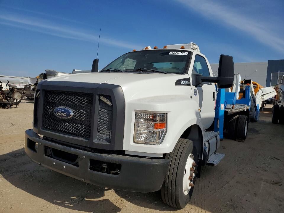 2019 FORD F-650