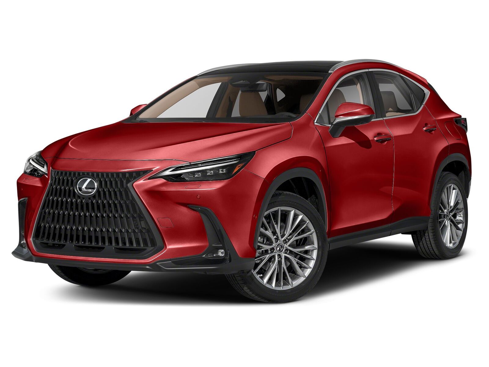 2024 LEXUS NX