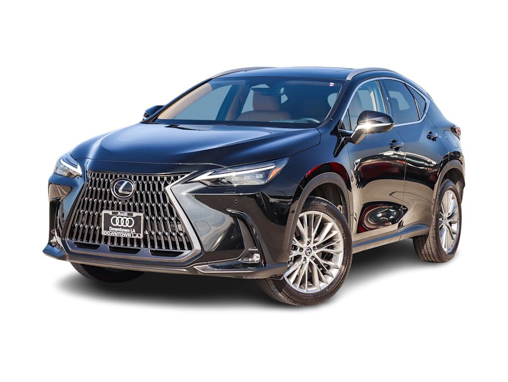 2024 Lexus NX