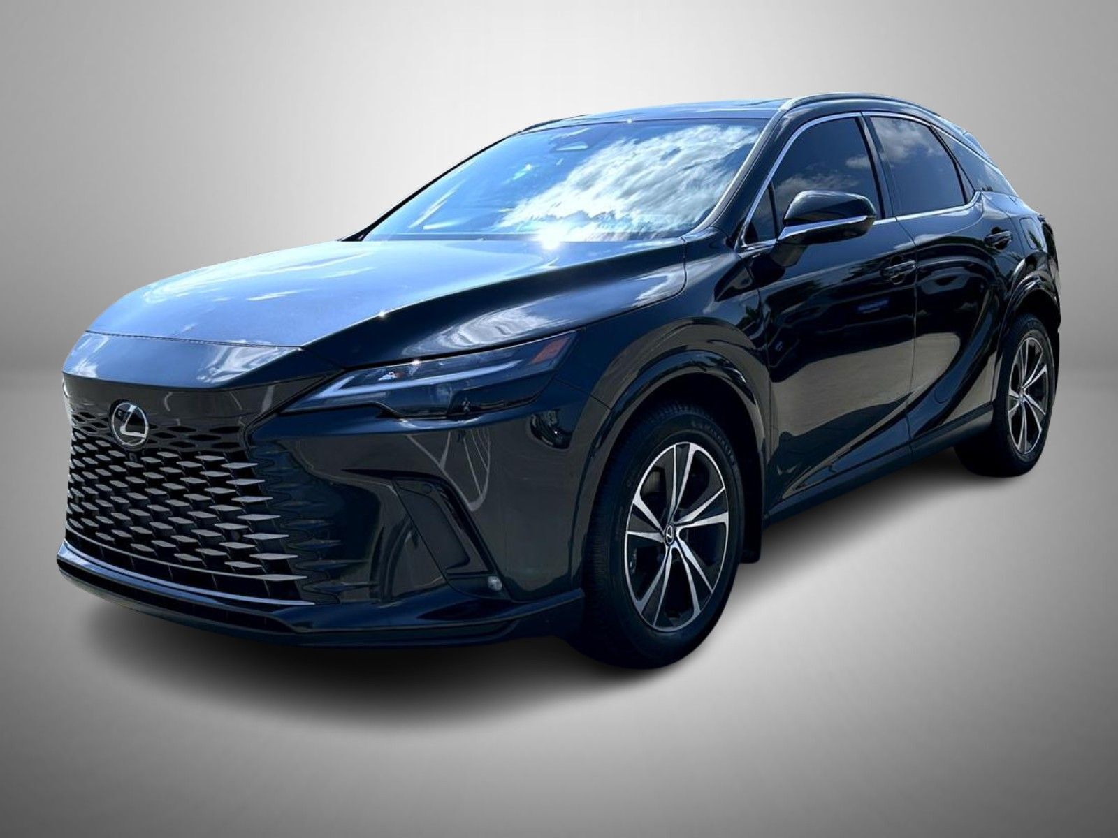 2024 LEXUS RX