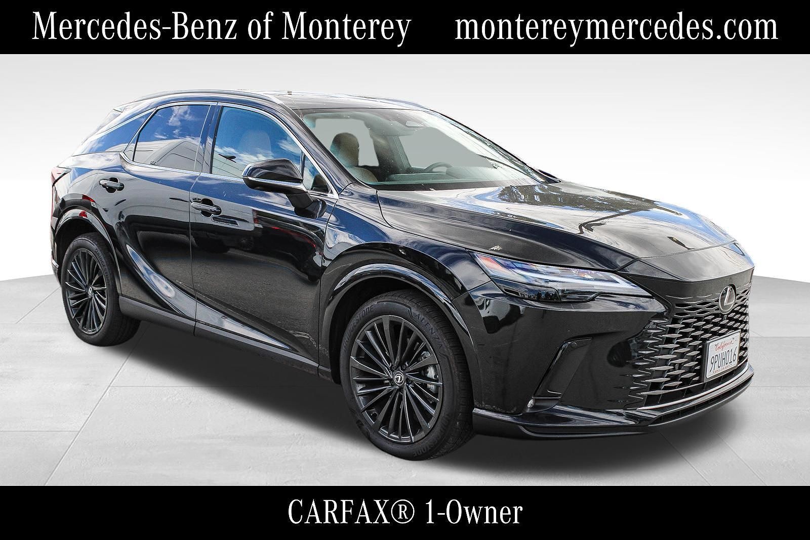 2024 LEXUS RX