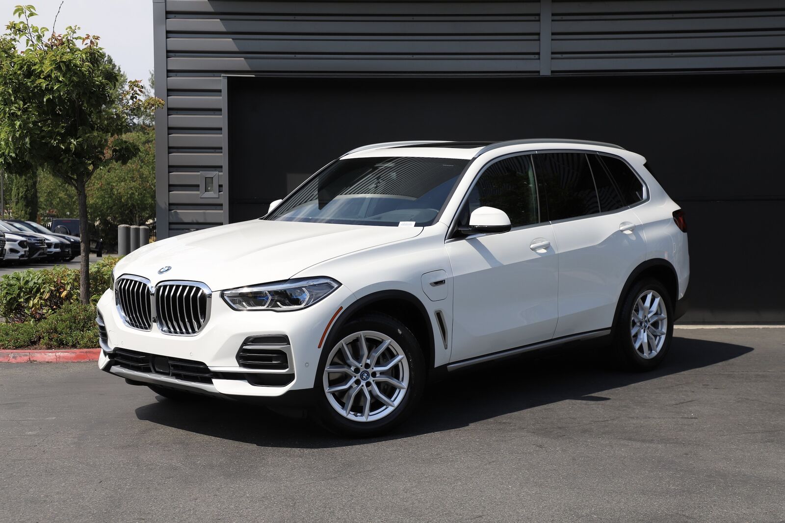 2023 BMW X5