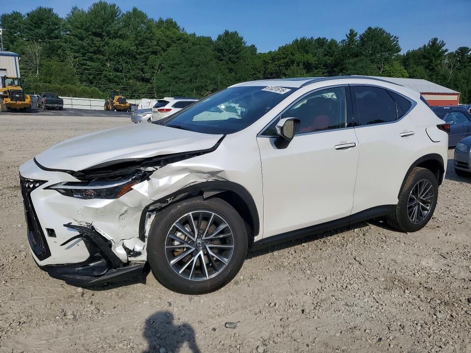 2024 LEXUS NX