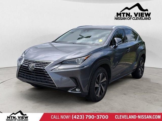 2019 LEXUS NX