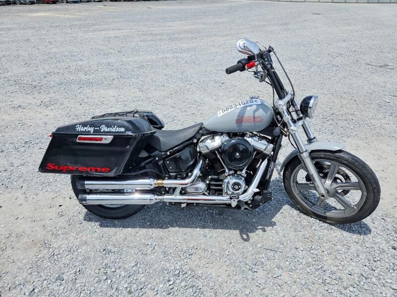 2024 HARLEY DAVIDSON Softail Standard