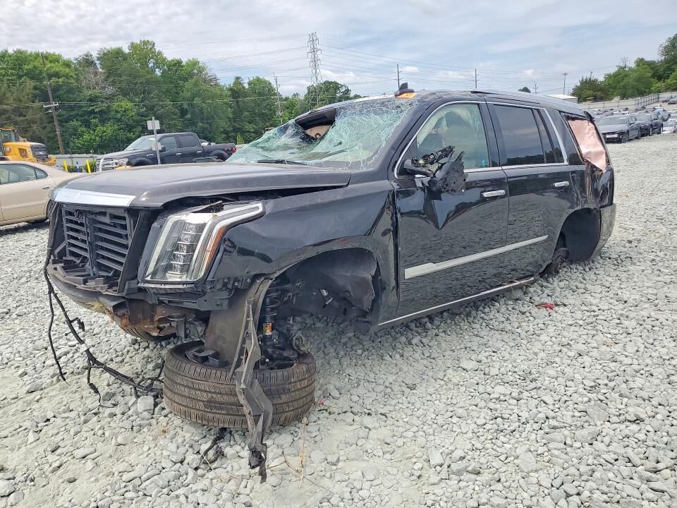 2019 CADILLAC Escalade