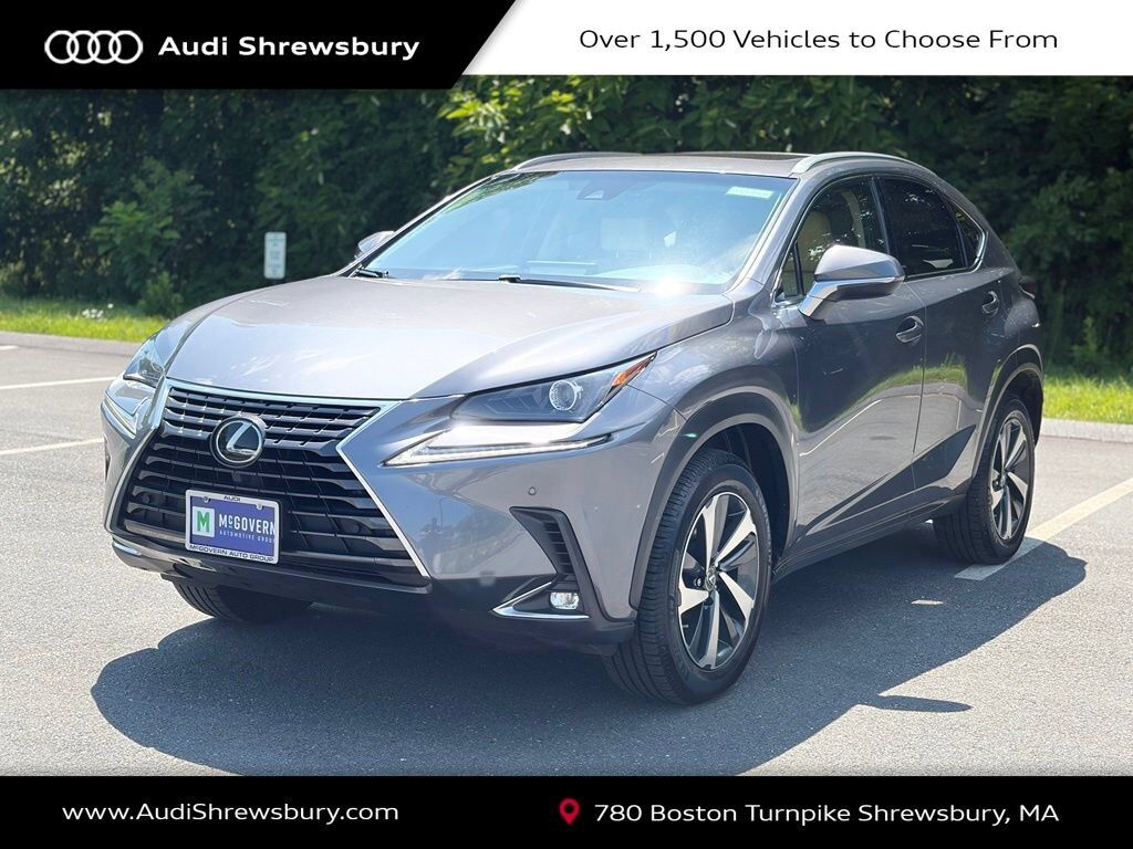 2019 LEXUS NX