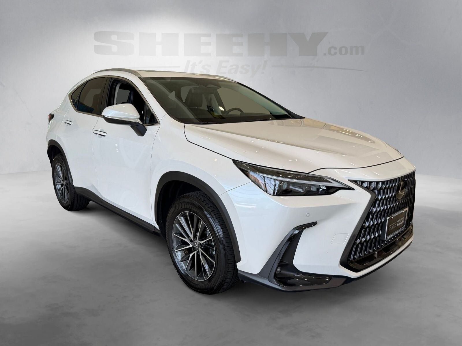 2025 LEXUS NX